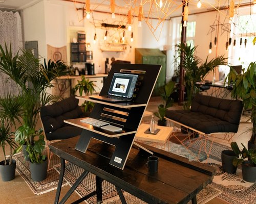 Comfortable office desk with laptop and plant